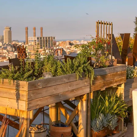 Apartment With Terrace Views Of Bcn